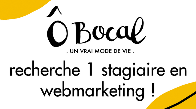 Offre de stage en webmarketing