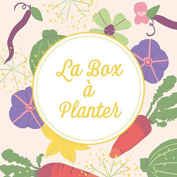 Partenariat d’anniversaire anti-gaspi avec La Box à Planter