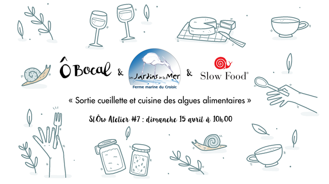 SlÔw Atelier #7 : Sortie cueillette et cuisine des algues