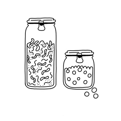 Confiseries