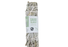 Tresse de sauge blanche