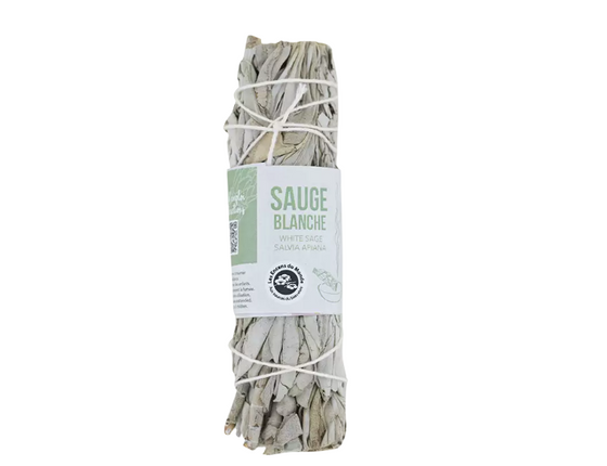 Tresse de sauge blanche