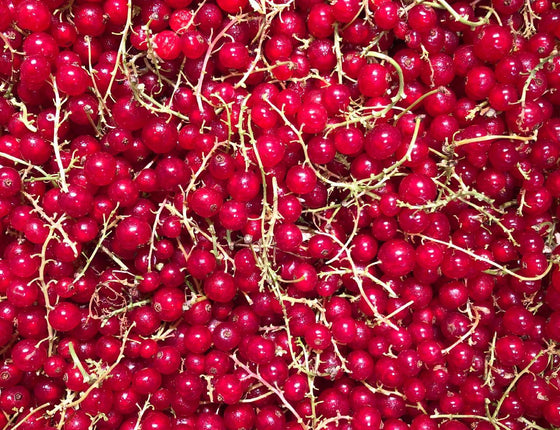 Groseille bio & locale