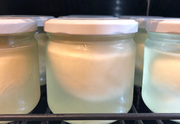 Burrata bio & locale