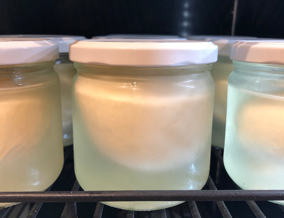 Burrata bio & locale
