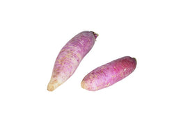 Radis Rose 
