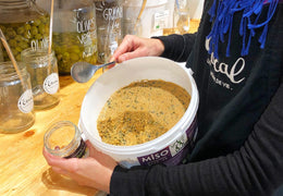 Miso brun  bio & français