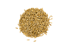 Petit épeautre bio en grains