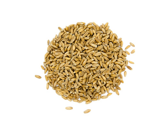 Petit épeautre bio en grains