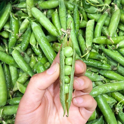 Petits pois bio & locaux