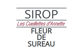 Sirop de fleur de sureau local