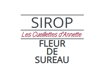Sirop de fleur de sureau local