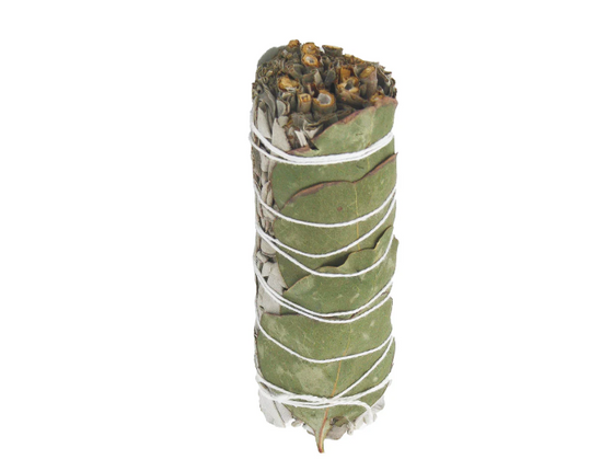 Bâton de sauge blanche - eucalyptus