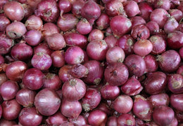 Oignons rouges bio & locaux