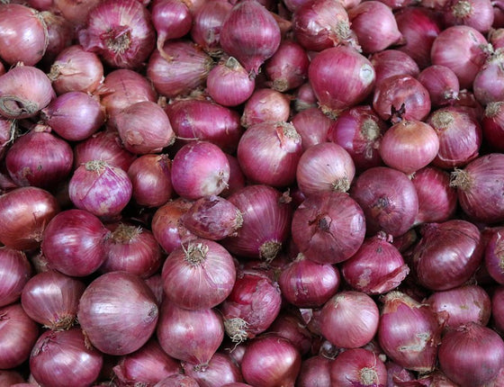 Oignons rouges bio & locaux
