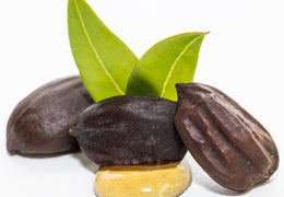 Huile de jojoba bio