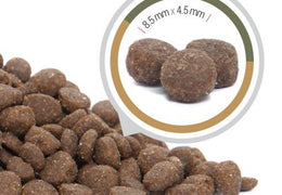 Croquettes pour chats sans céréales