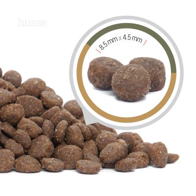 Croquettes pour chats sans céréales