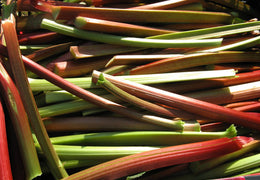 Rhubarbe bio & locale