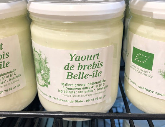 Yaourt nature au lait de brebis