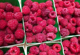 Framboises bio & locales