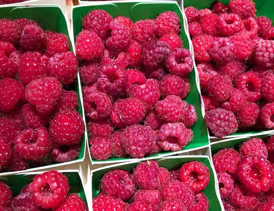 Framboises bio & locales