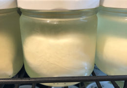 Mozzarella bio & locale
