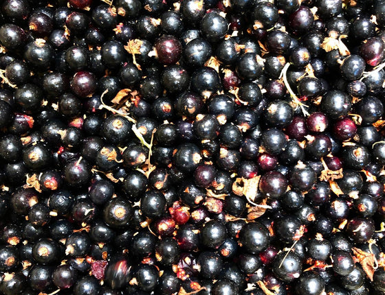 Cassis bio & locaux