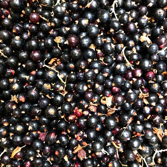 Cassis bio & locaux