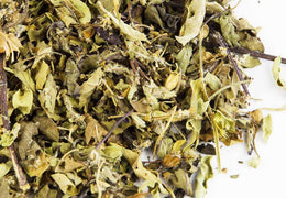 Tulsi bio & local
