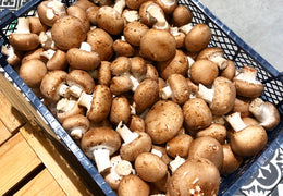 Champignons de Paris bio