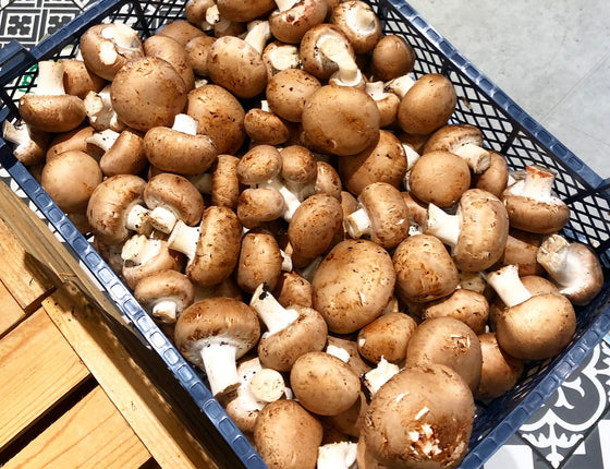 Champignons de Paris bio