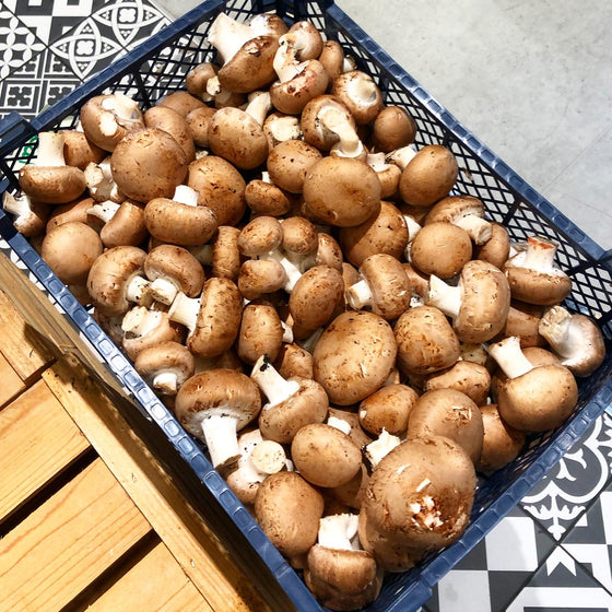 Champignons de Paris bio