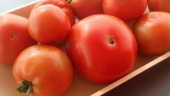 Tomate rondes bio & locales