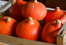 Courges Potimarrons bio & locales