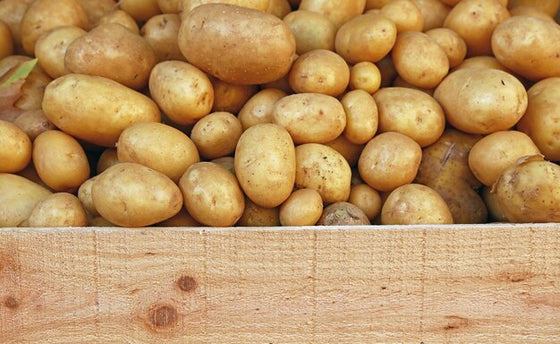 Pommes de terre nouvelles bio & locales
