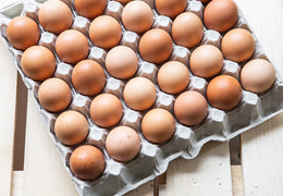 Oeufs bio & locaux