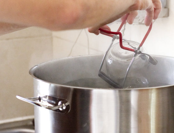 Stérilisateur en inox automatique 30L