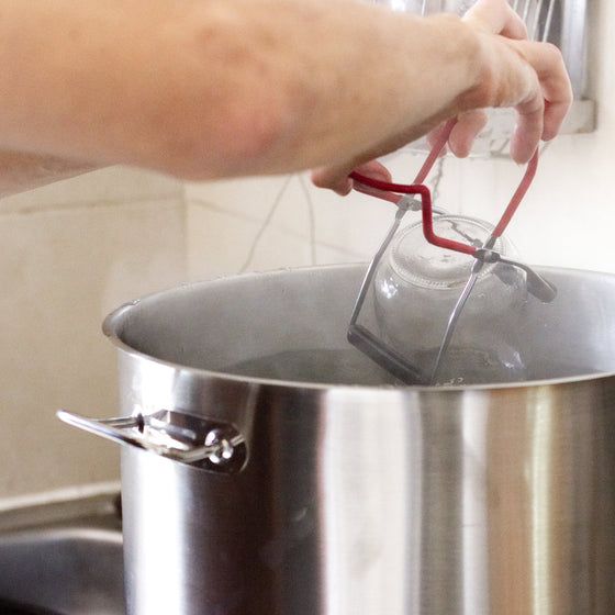 Stérilisateur en inox automatique 30L