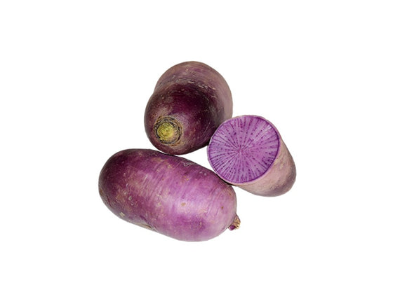 Radis Blue Meat bio