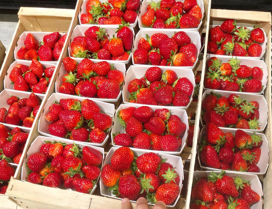 Fraises bio & locales