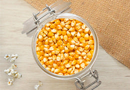Maïs à pop-corn bio