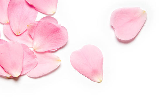Eau florale de rose bio