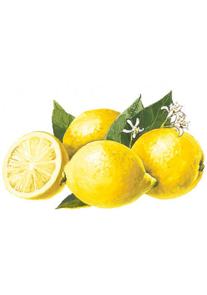 Sirop de citron bio