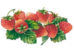 Sirop de fraise bio