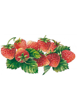 Sirop de fraise bio