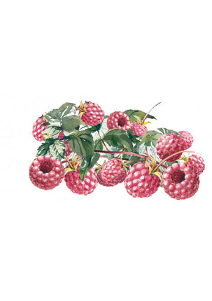 Sirop de framboise-mûre bio