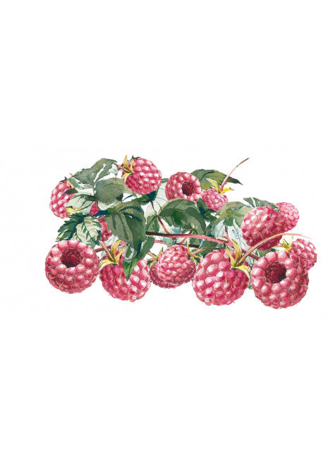 Sirop de framboise-mûre bio