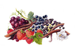 Sirop de grenadine bio
