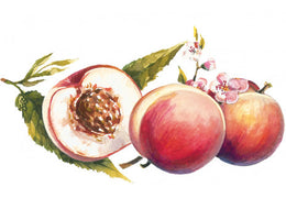 Sirop de pêche bio